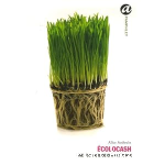 Ecolocash