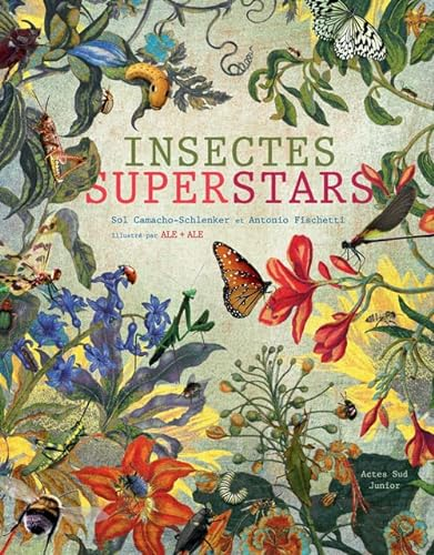 Insectes superstars