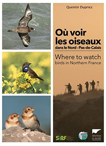 Où voir les oiseaux dans le Nord-Pas-de-Calais