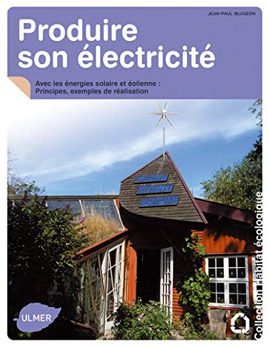 Produire son électricité : Avec les énergies solaire et éolienne : Principes, exemples de réalisation