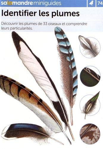 Miniguide n°74 : Identifier les plumes